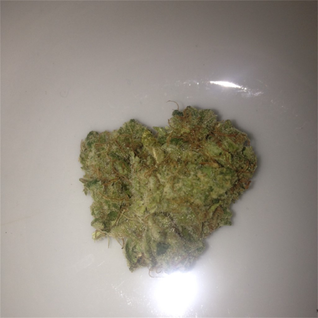 Foto de la variedad Jack Diesel
