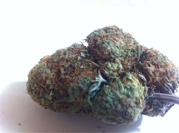 Jack Haze