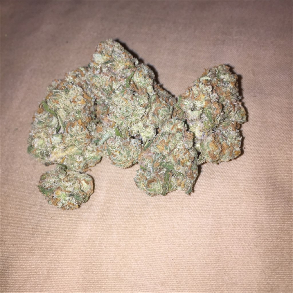 Jack Kush