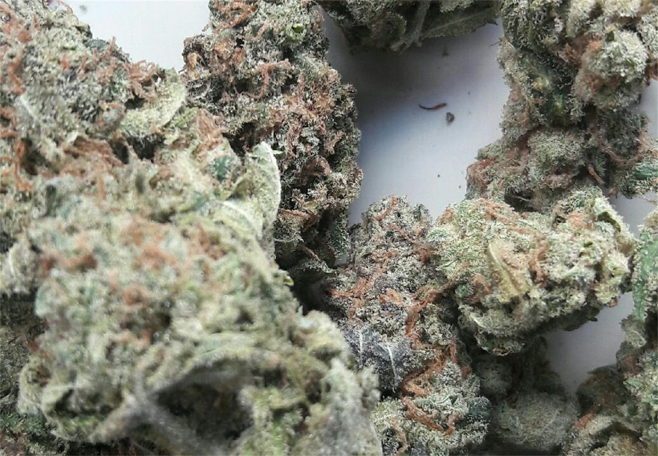 Jack the Ripper