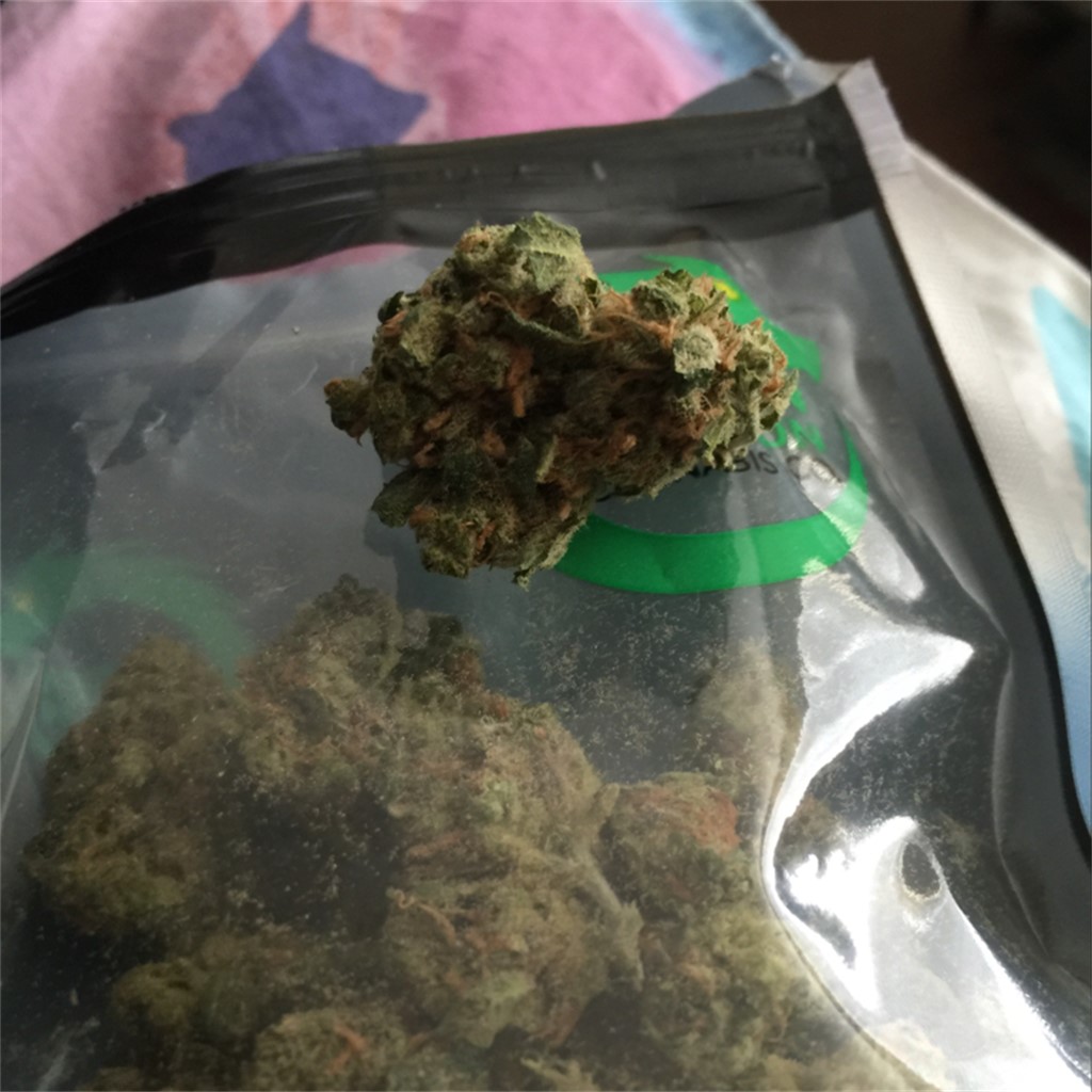 Jah Kush