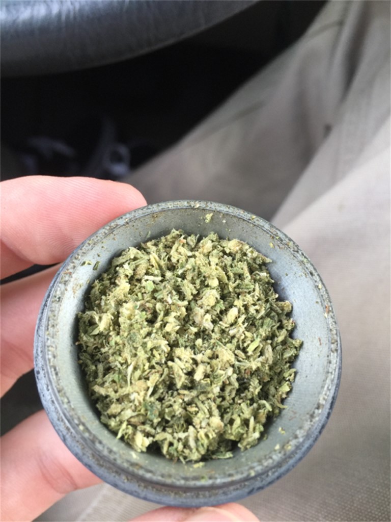 Foto de la variedad Jamaican Lion