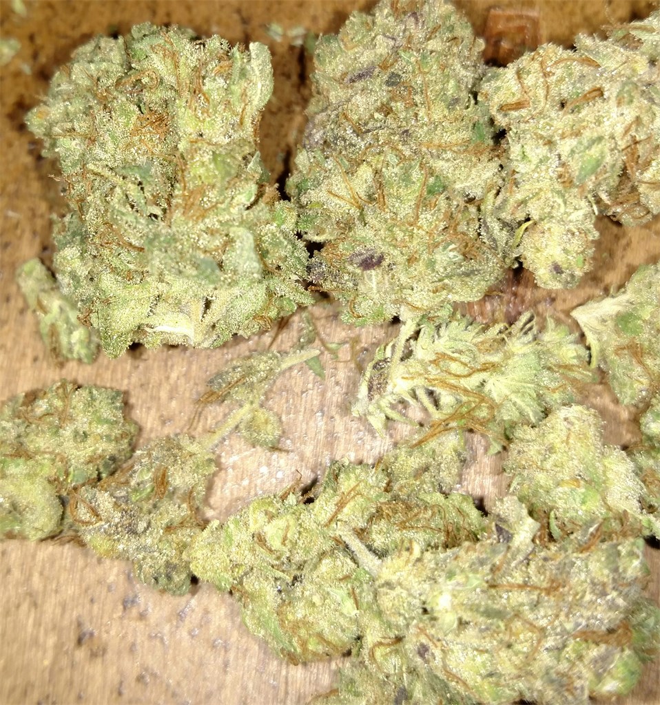 Foto de la variedad Jasmin