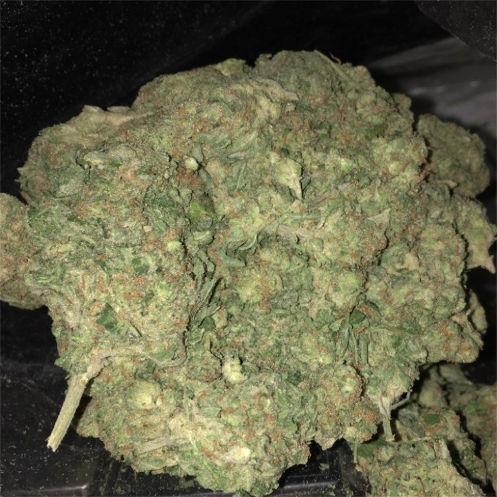 Jelly Roll