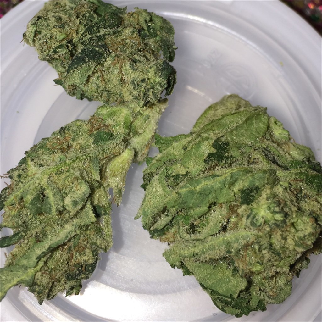 Foto de la variedad Jet Fuel