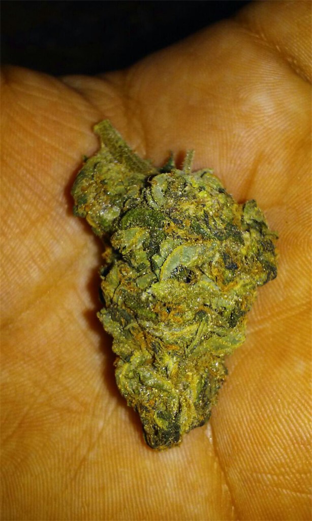 Juicy Jack