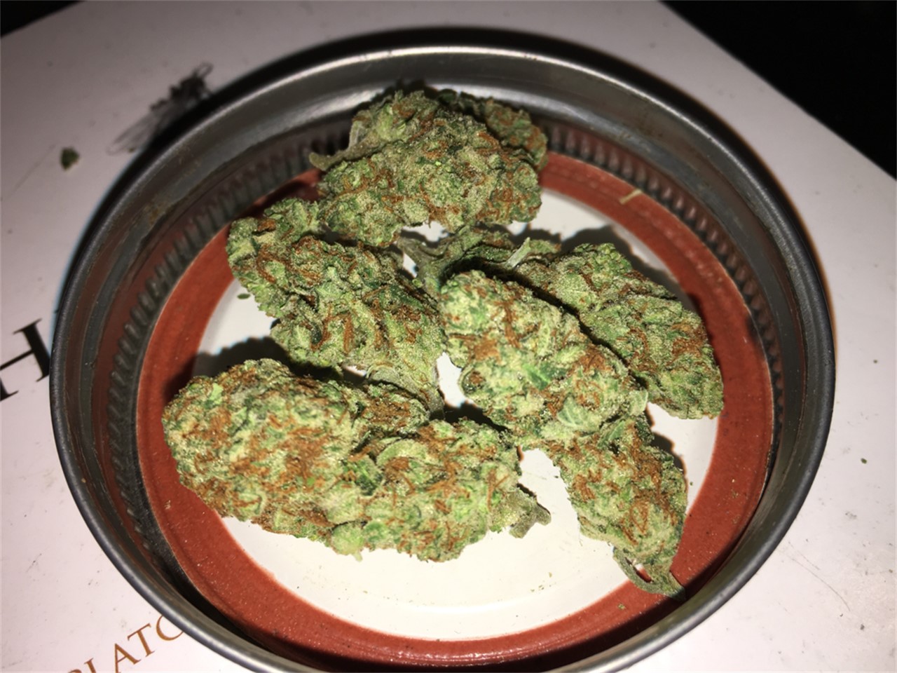 Foto de la variedad Juliet