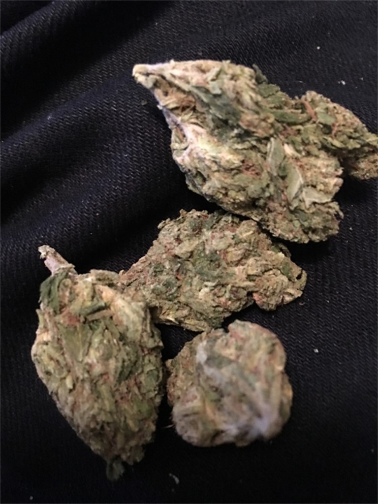 Foto de la variedad Jungle Juice
