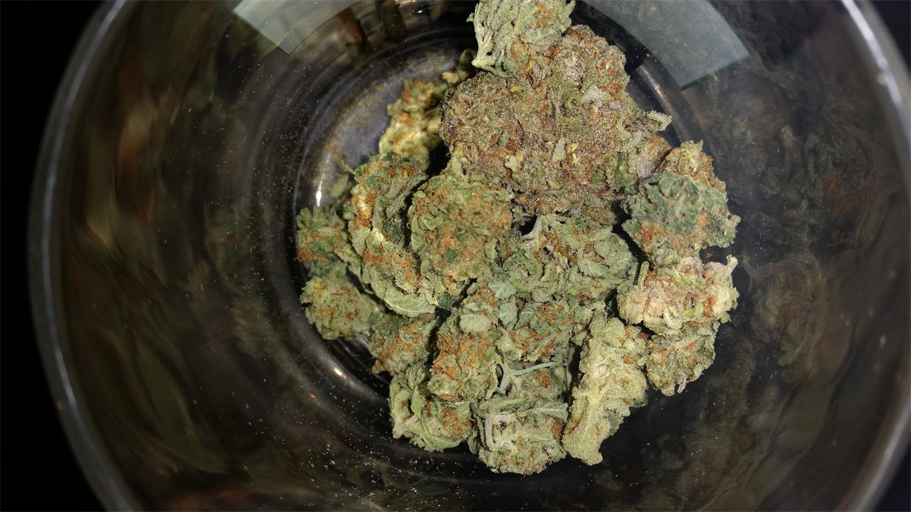 Foto de la variedad Kaia Kush