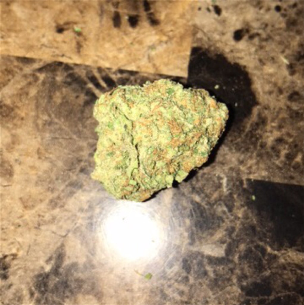 Foto de la variedad Kali Mist