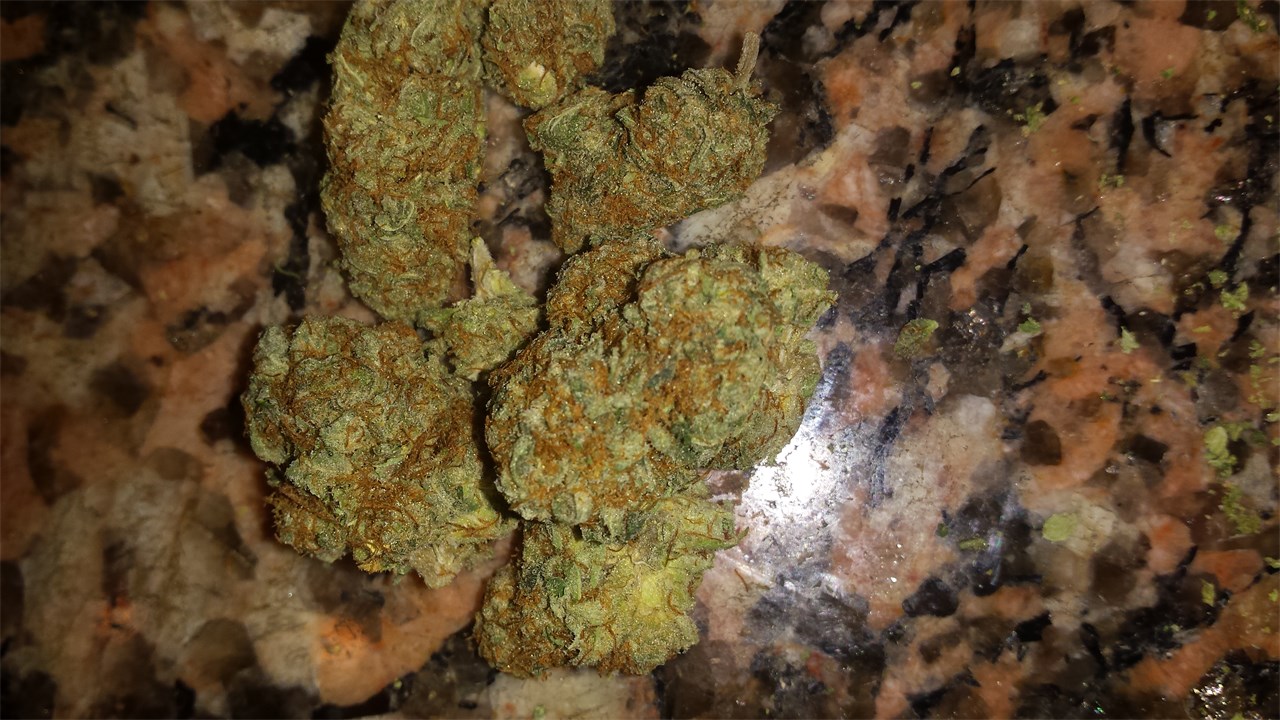 Foto de la variedad Ken's Kush
