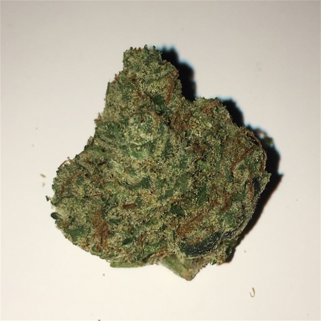 Foto de la variedad Khufu