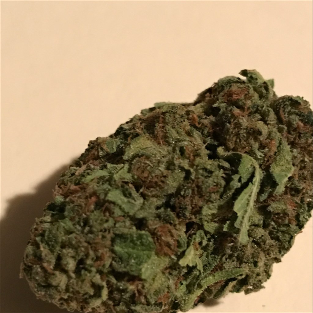 STIIIZY King Louis XIII - Mango Flavor Premium THC POD .5G - Cannabis  Kingdom