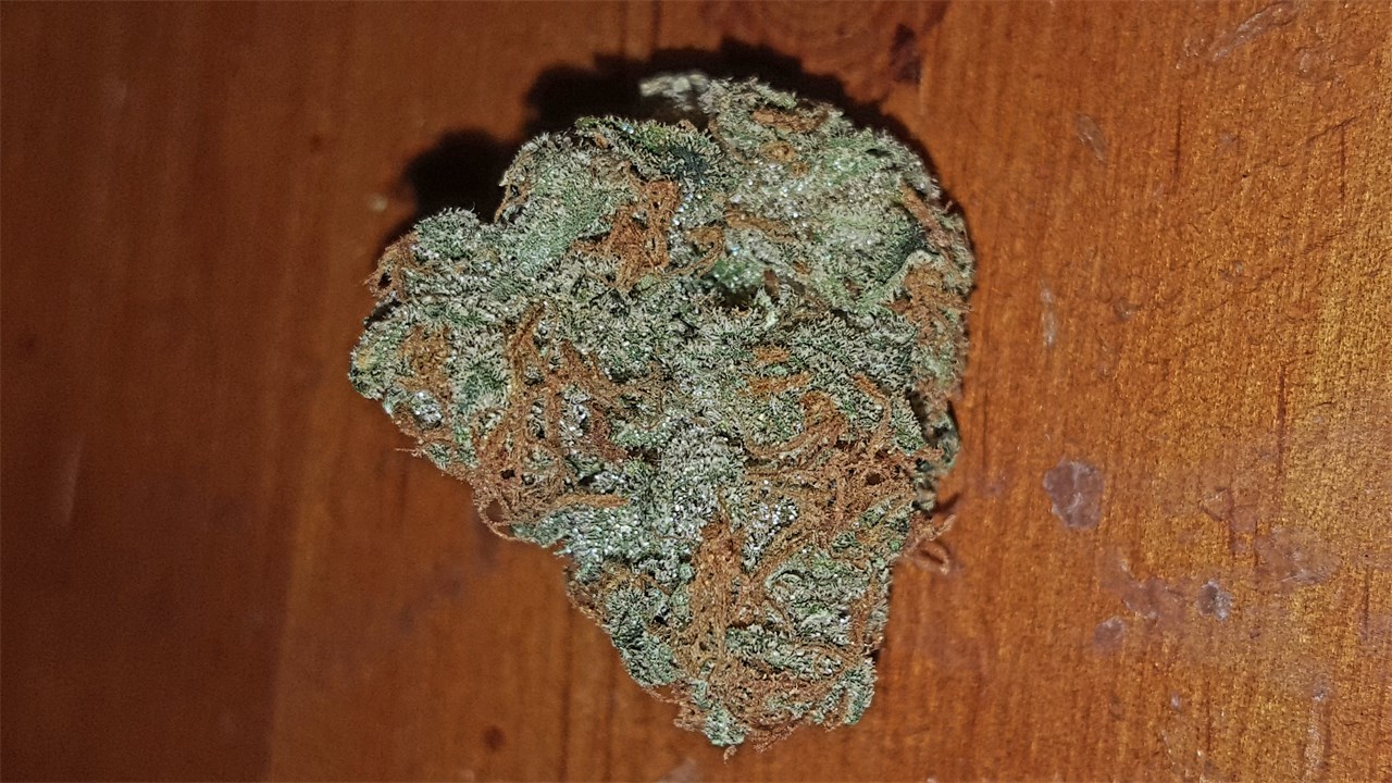Kosher Tangie