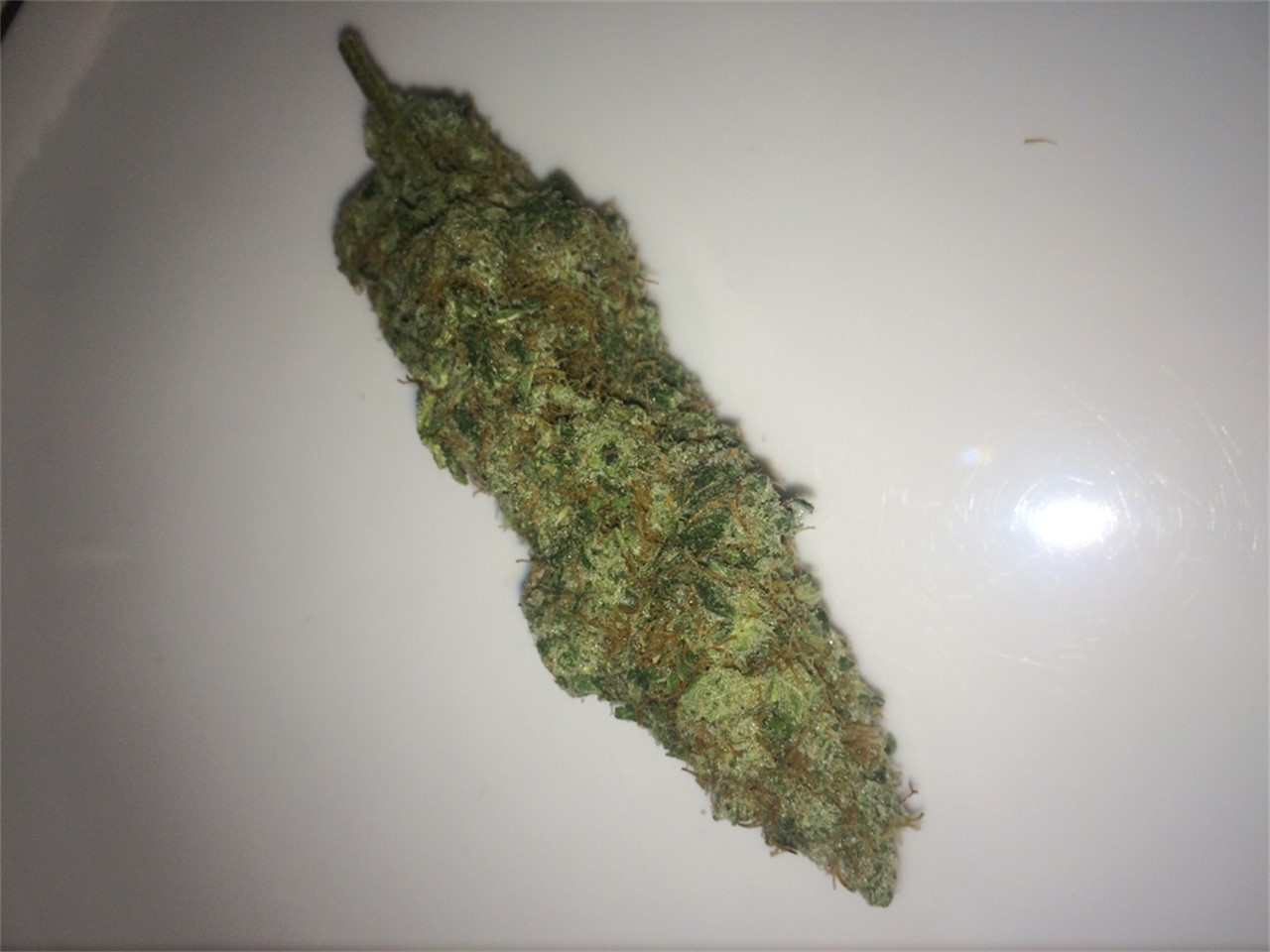 Foto de la variedad Kush Cleaner
