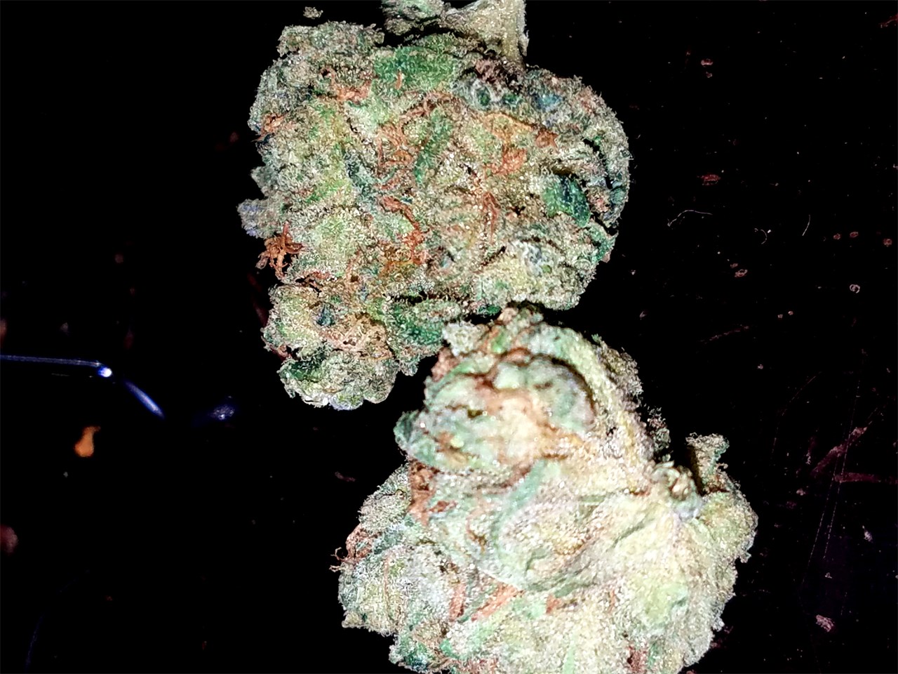 Foto de la variedad LA Confidential