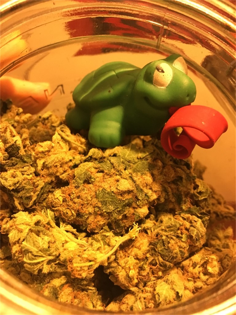 LA Jack
