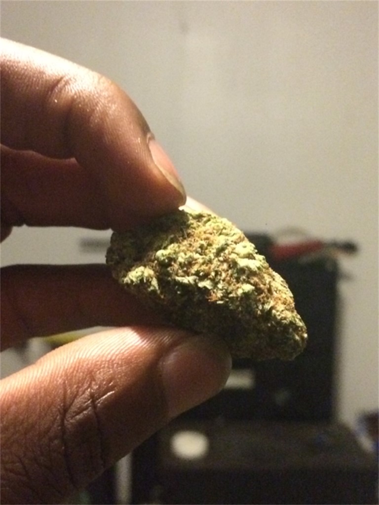 Foto de la variedad Rambo