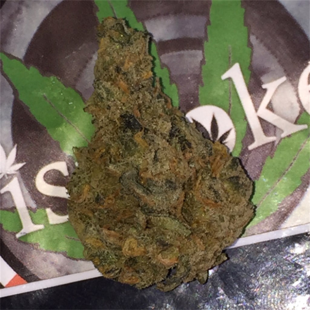 Foto de la variedad Lemon Bubble