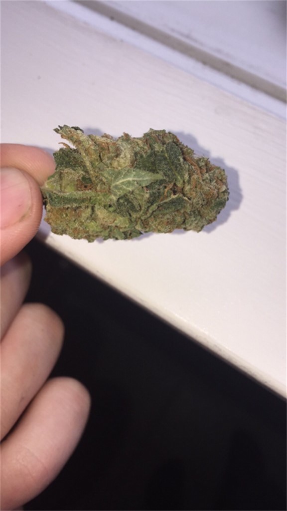 Lemon Daddy