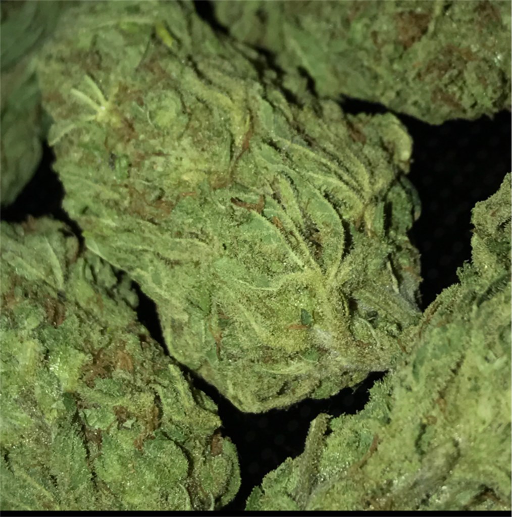 Foto de la variedad Lemon Diesel