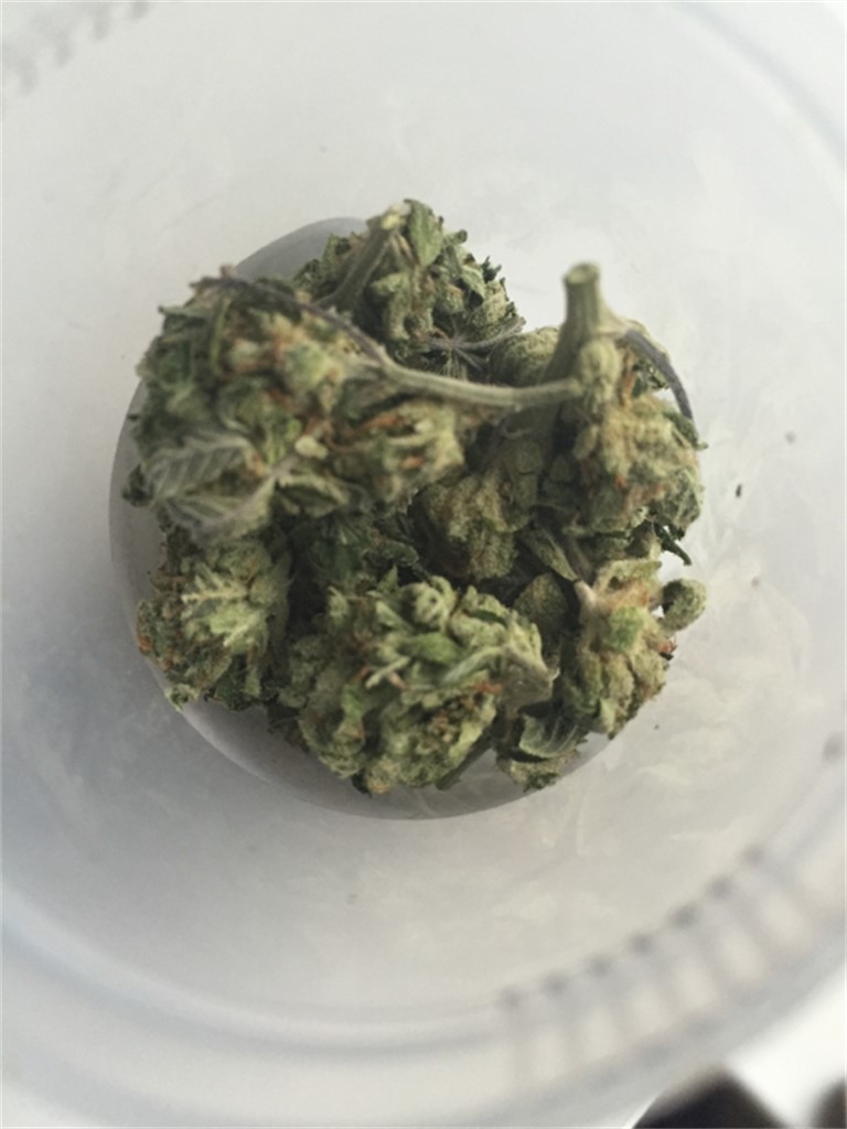 Lemon Drop