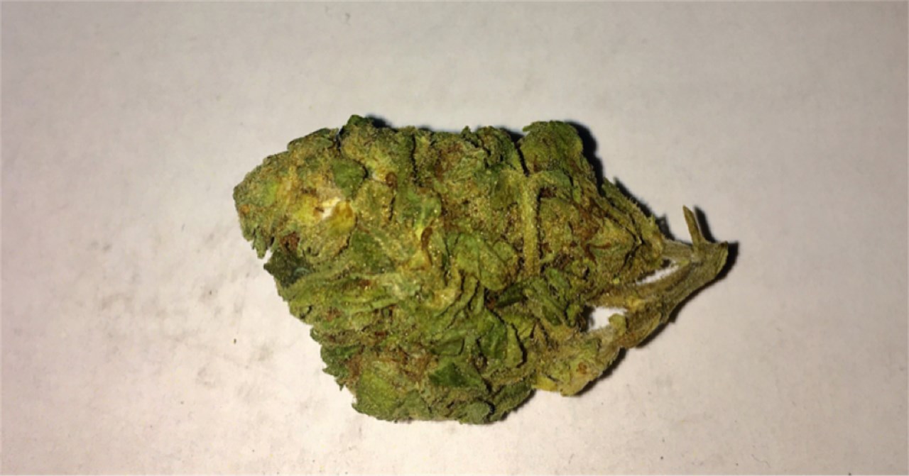 Foto de la variedad Lemon Haze