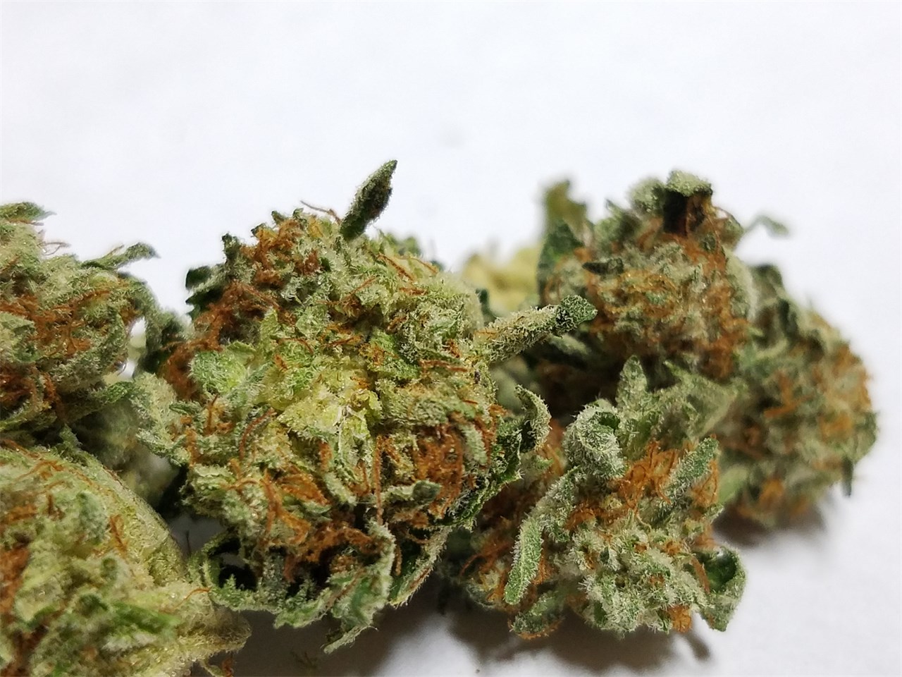 Lemon OG
