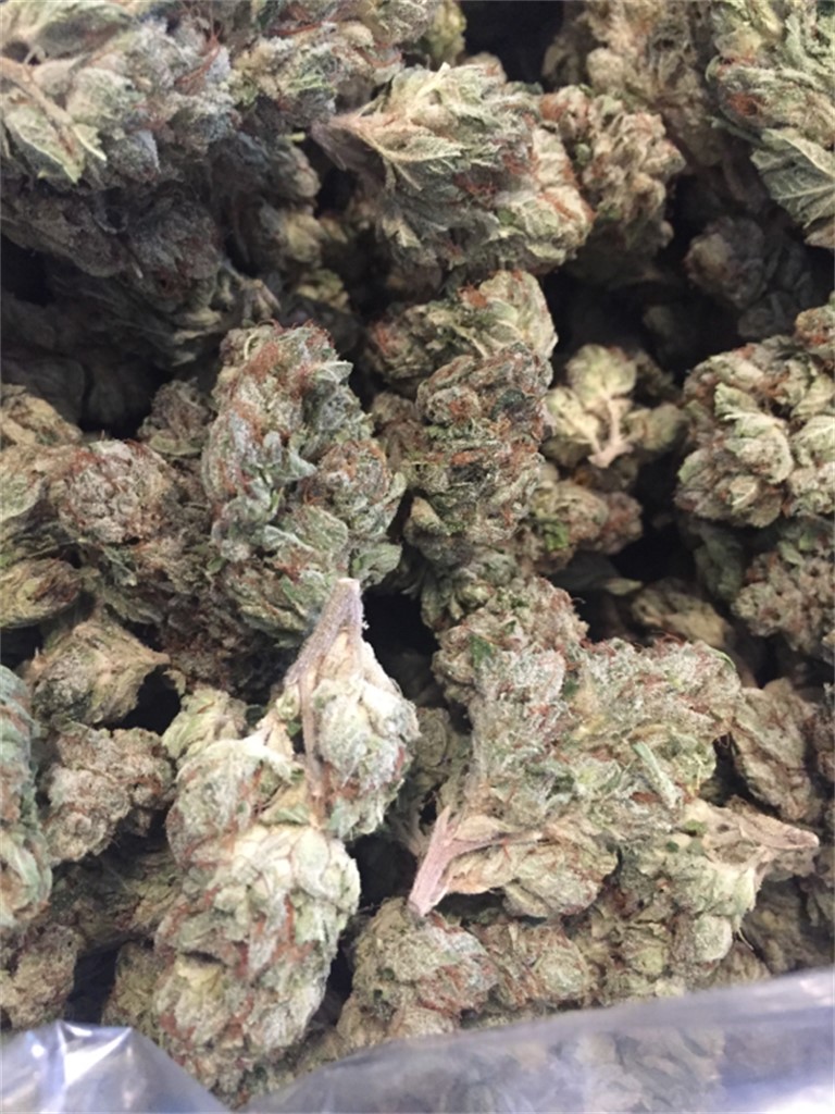 Lemon Pie