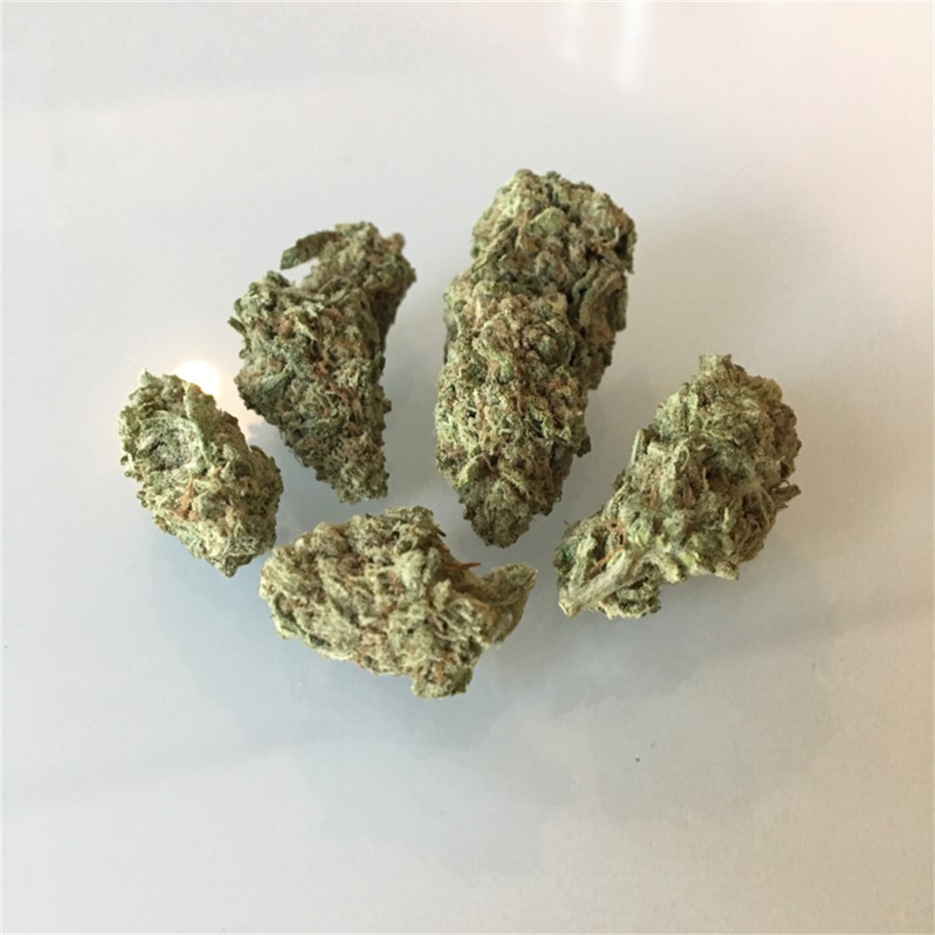 Foto de la variedad Lemon Pie