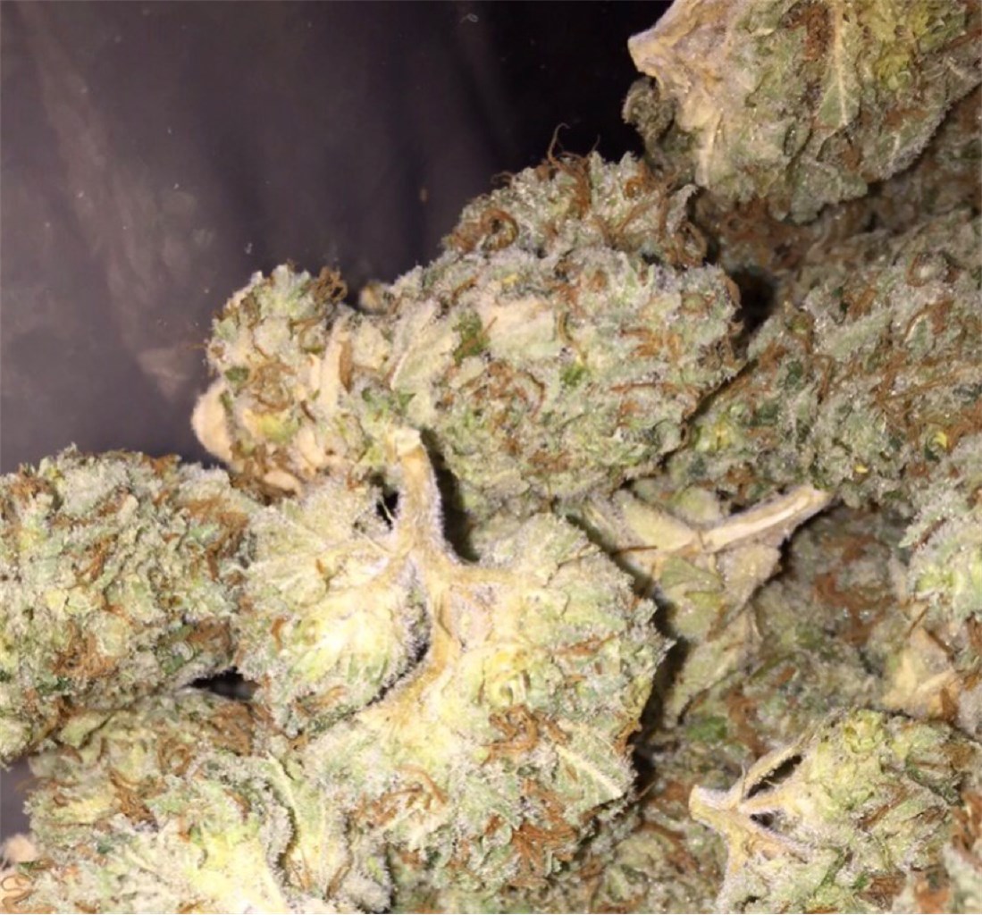 Foto de la variedad Lemon Thai