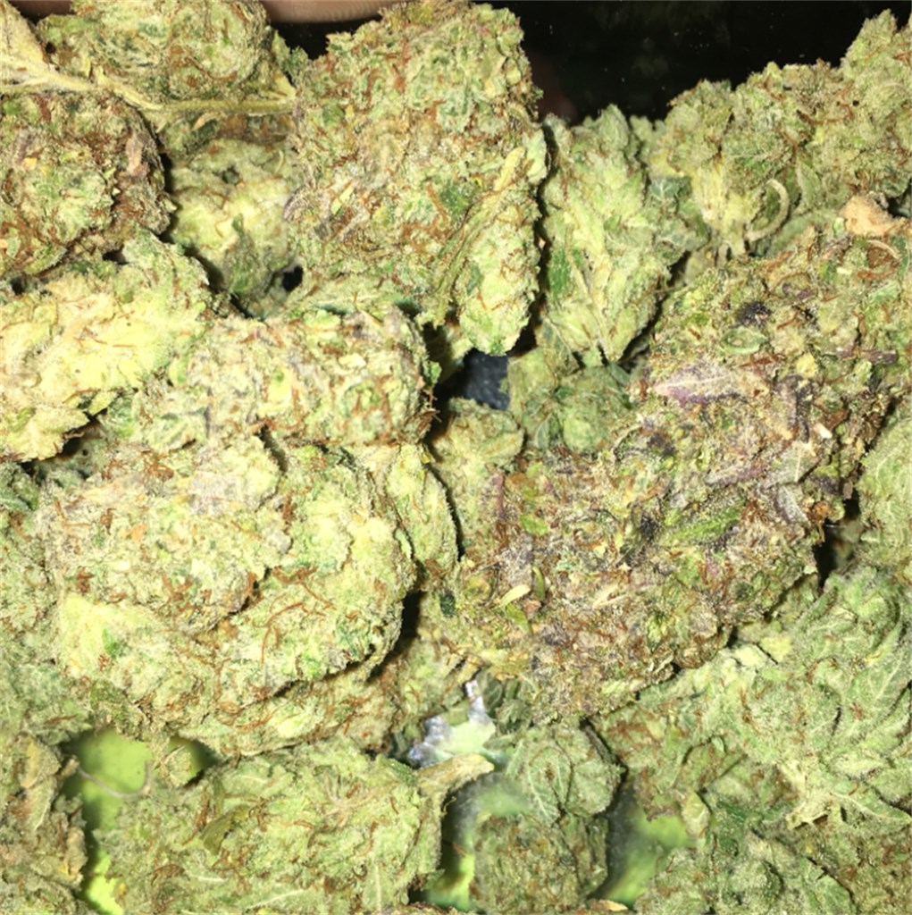 Foto de la variedad Lemon Walker