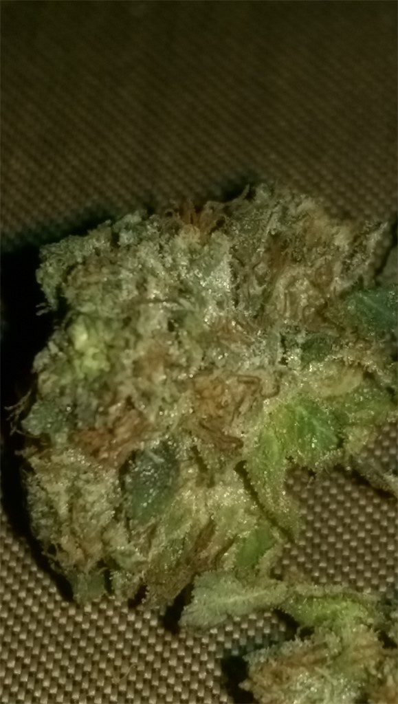 Lemon Wreck