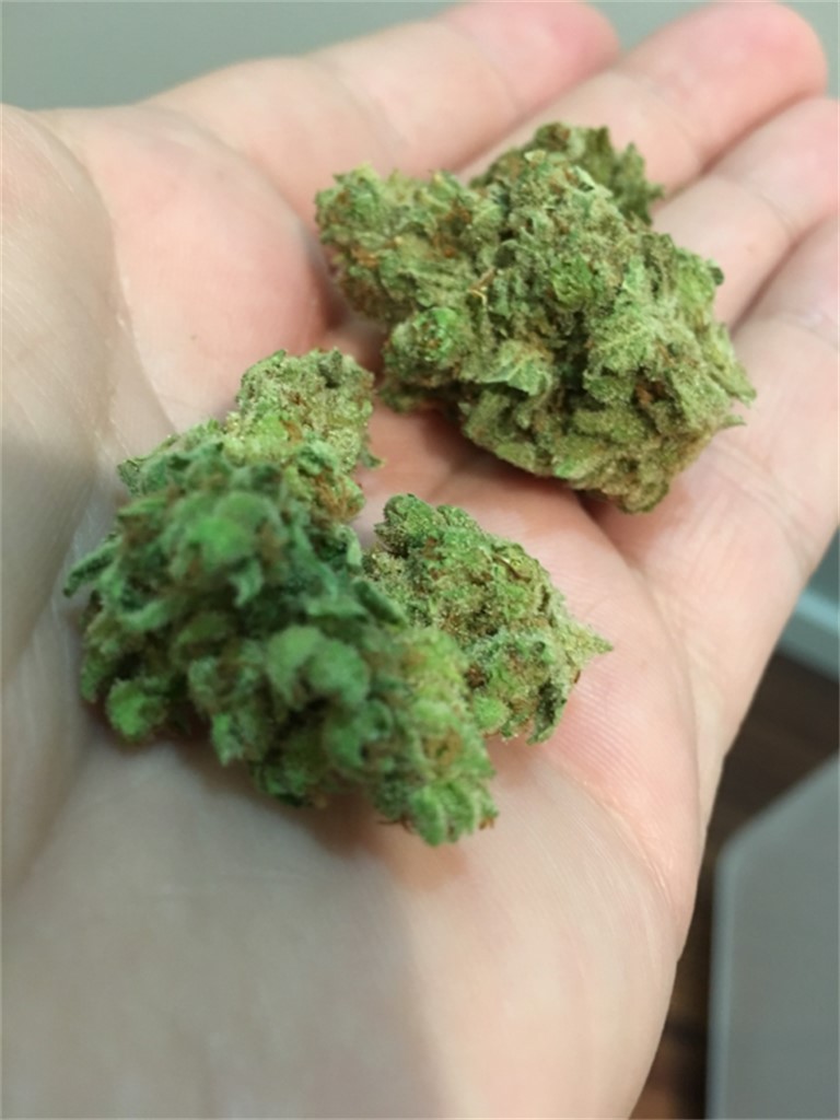 Lodi Dodi