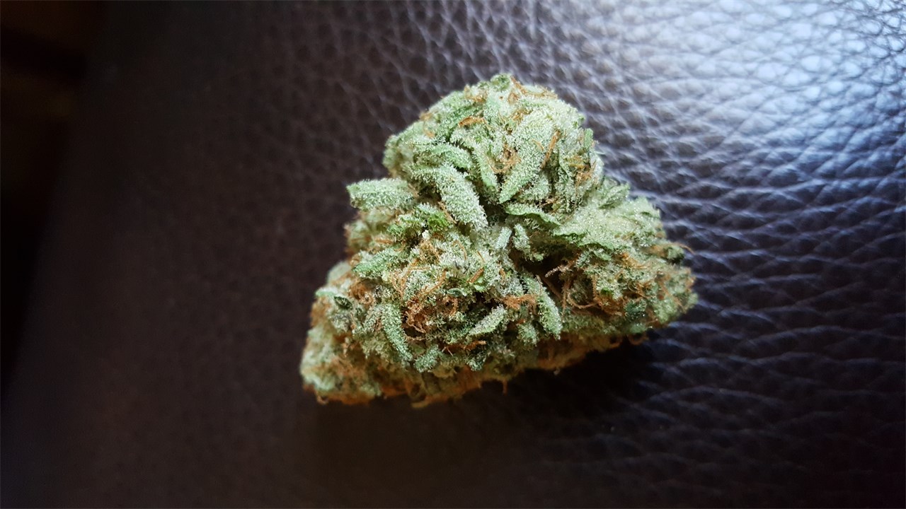 Foto de la variedad Longbottom Leaf