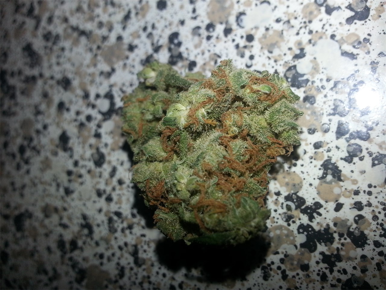 Loud Dream