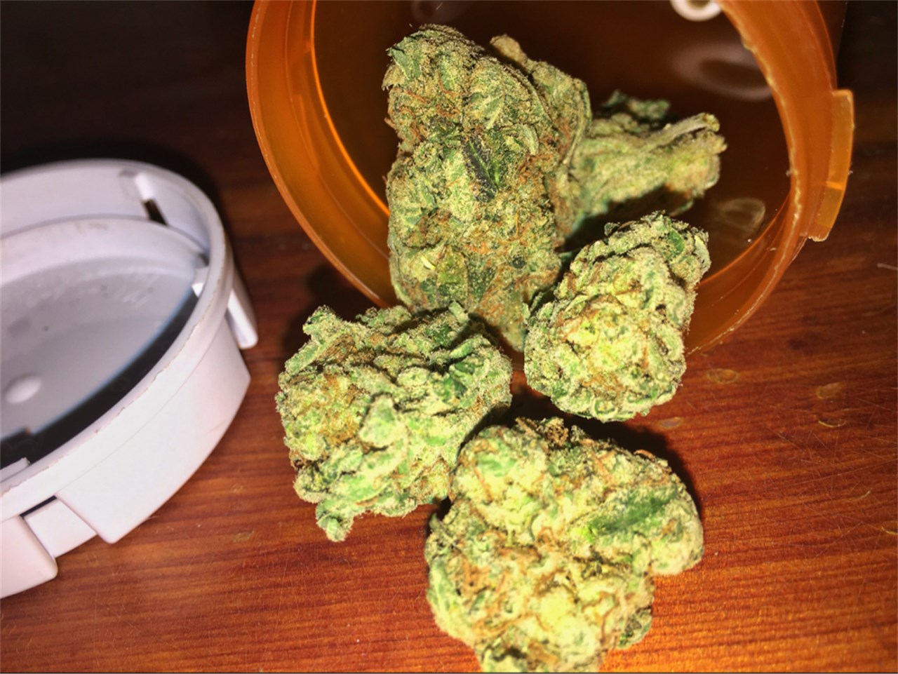 Foto de la variedad Loud Scout