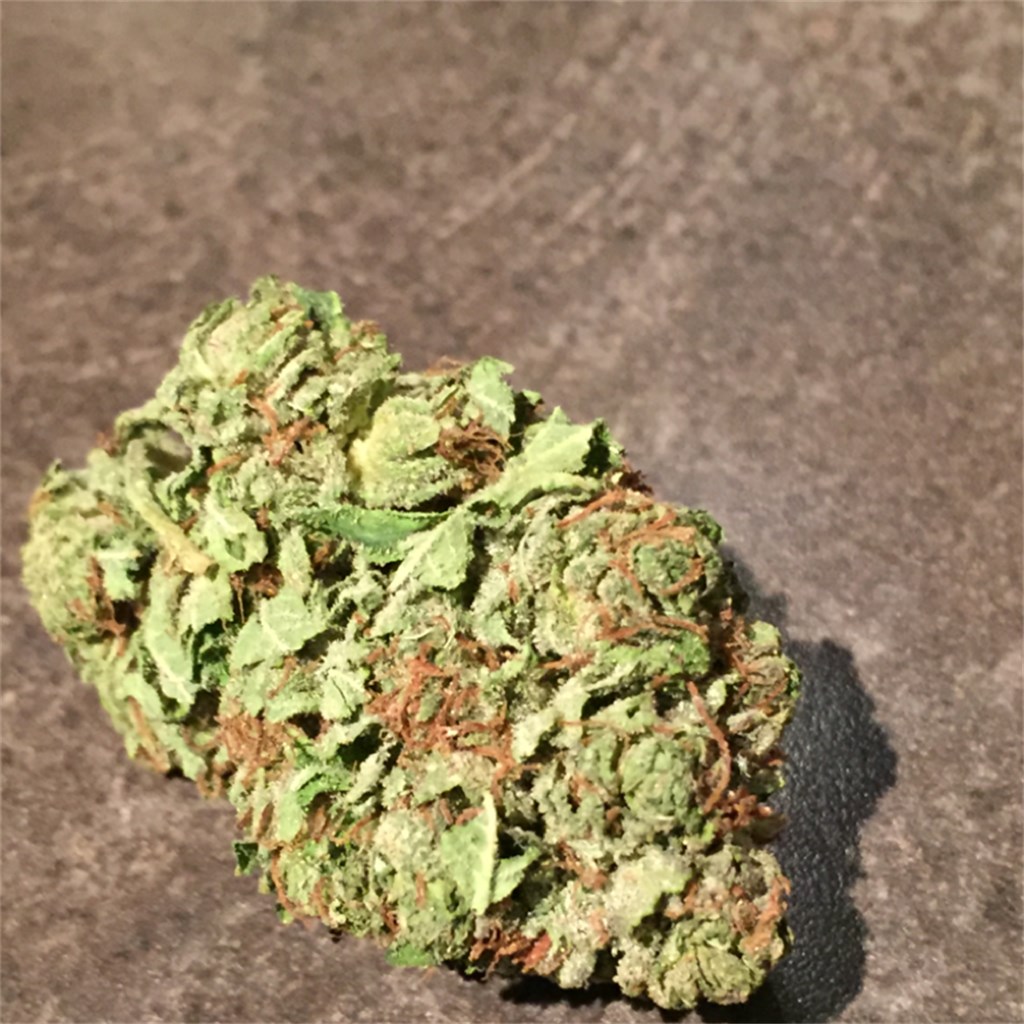 Foto de la variedad Lucid Bolt