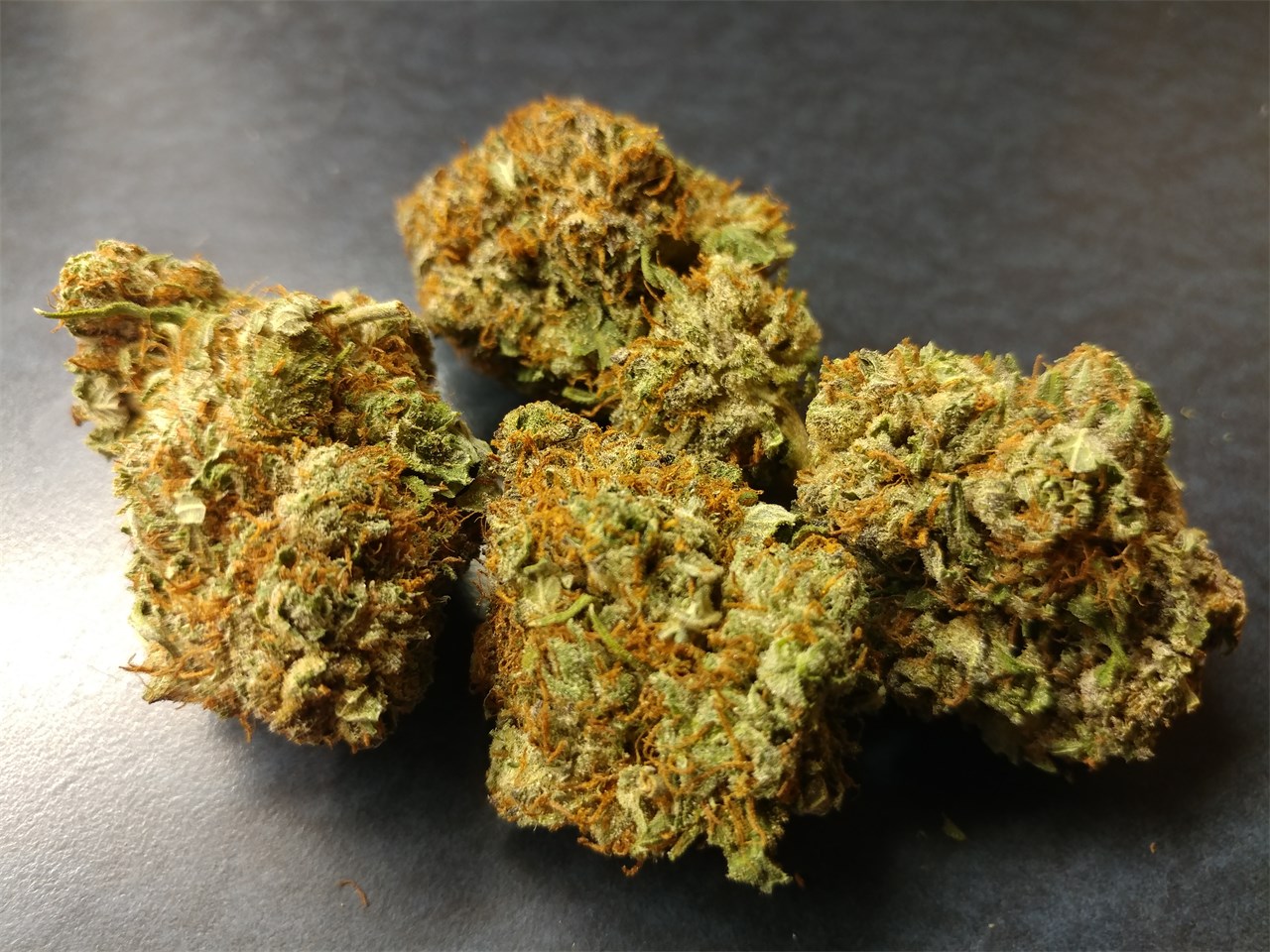 Foto de la variedad Mad.S