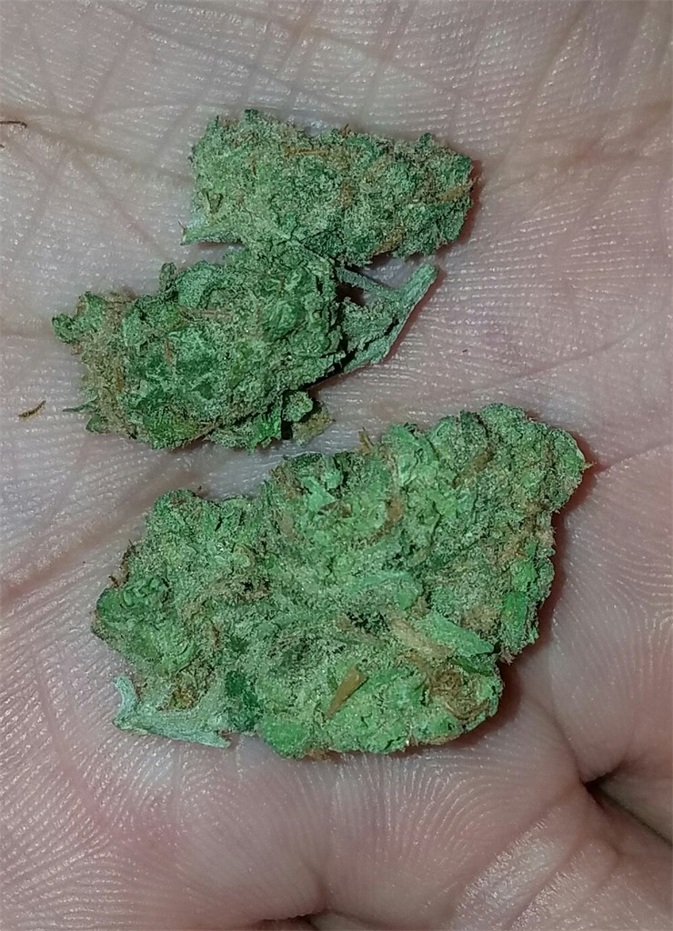 Madagascar