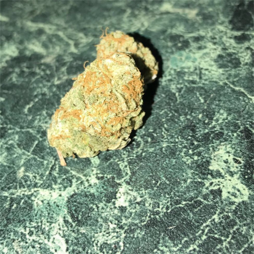Foto de la variedad Madcow