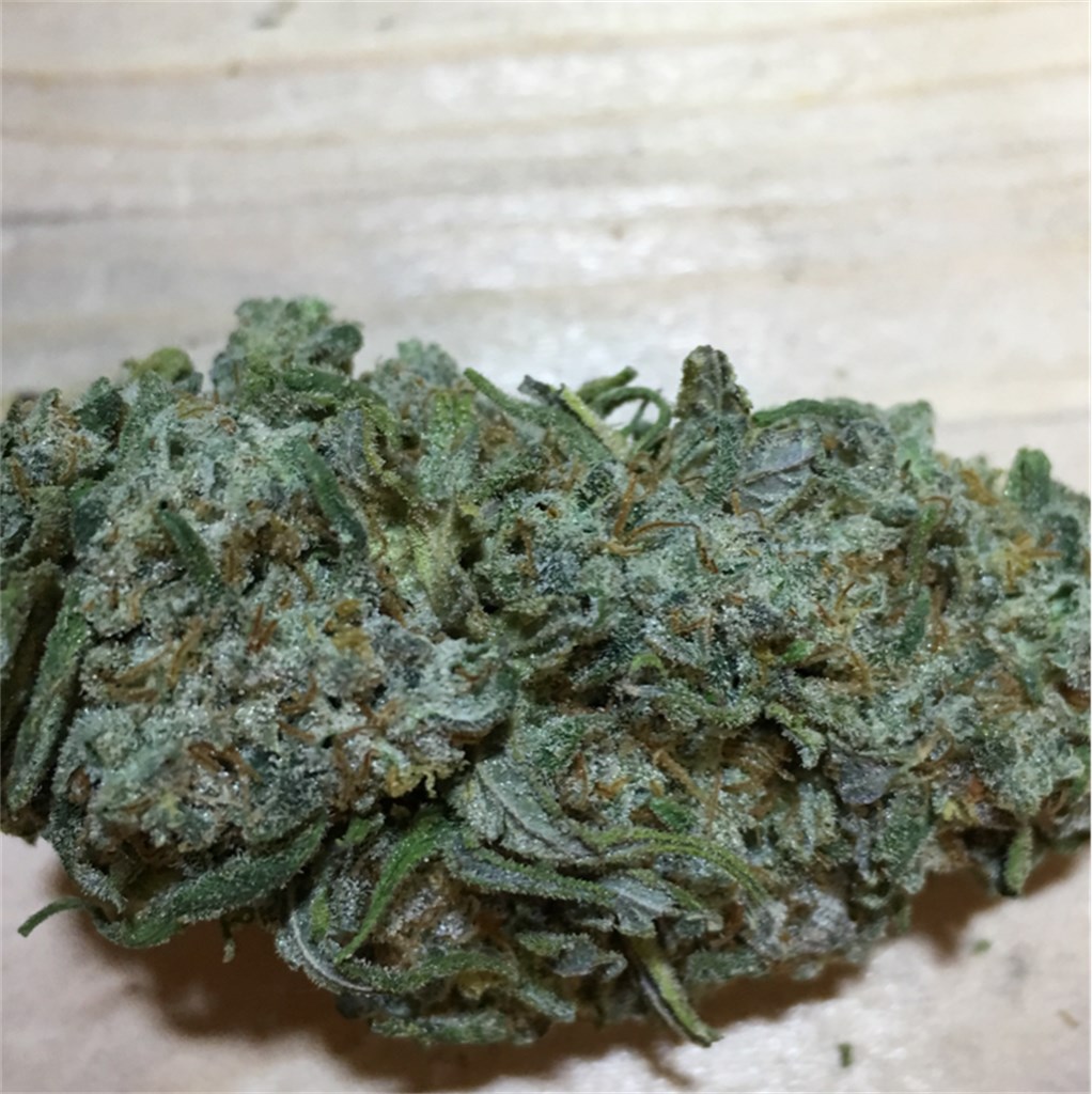 Foto de la variedad Malawi Gold