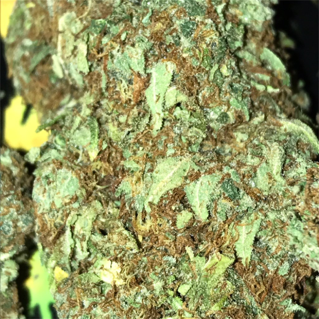 Mammoth