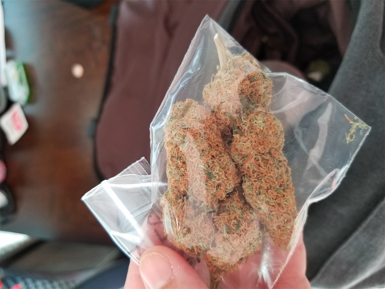 Foto de la variedad Maple Leaf Indica