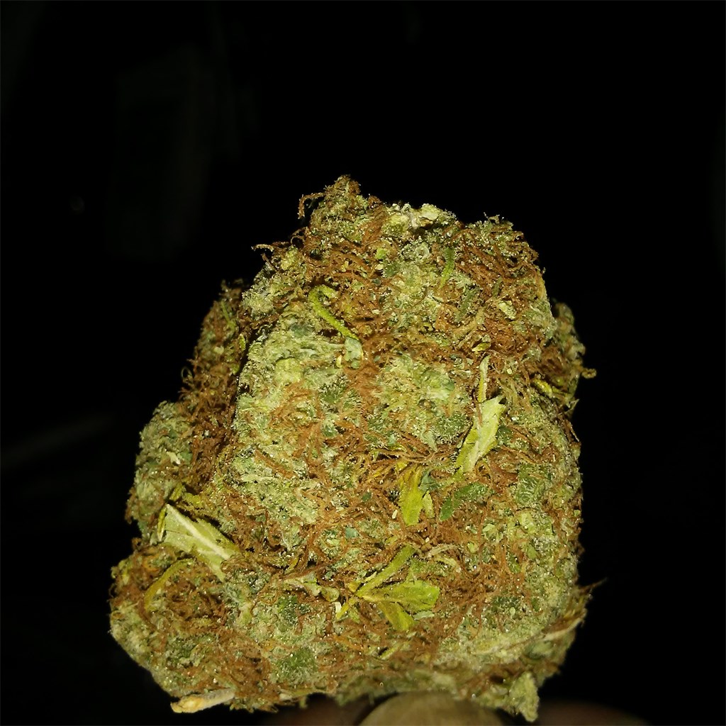 Marionberry Kush