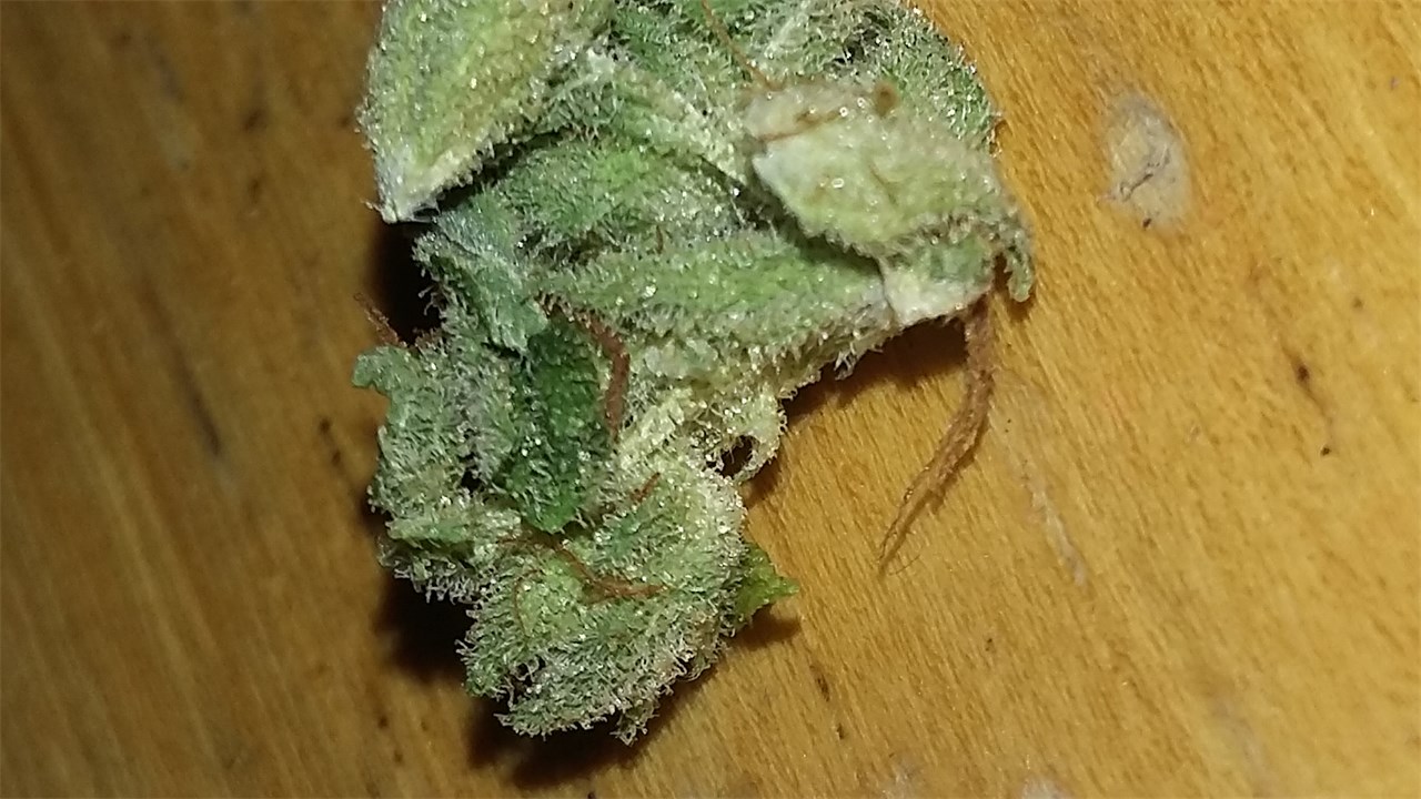 Martian Candy