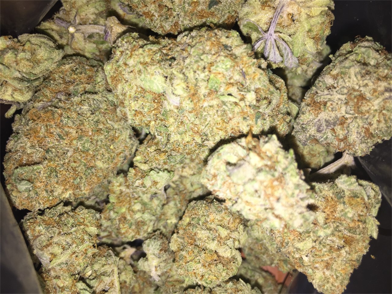 Martian Mean Green