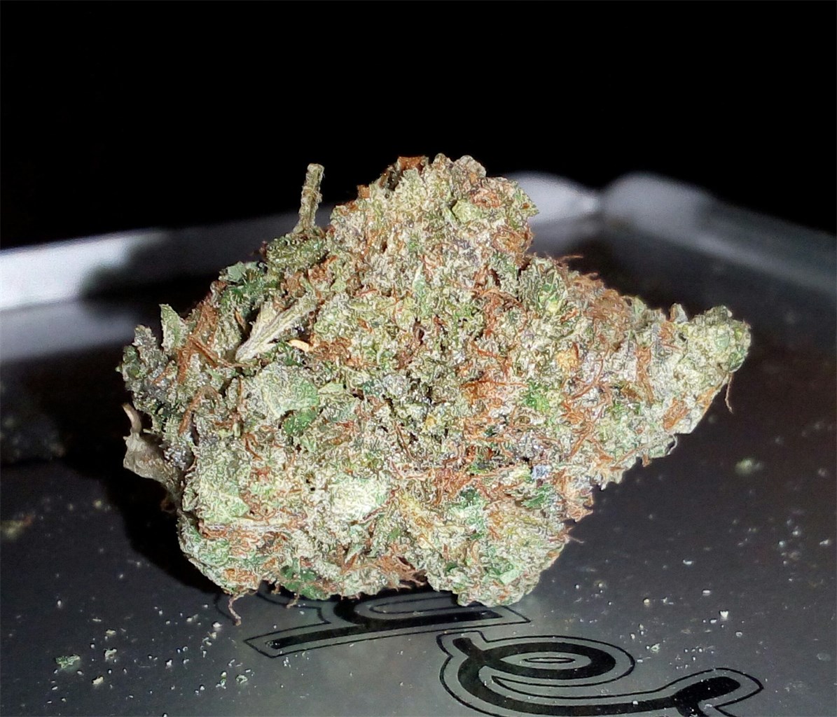 Master Bubba