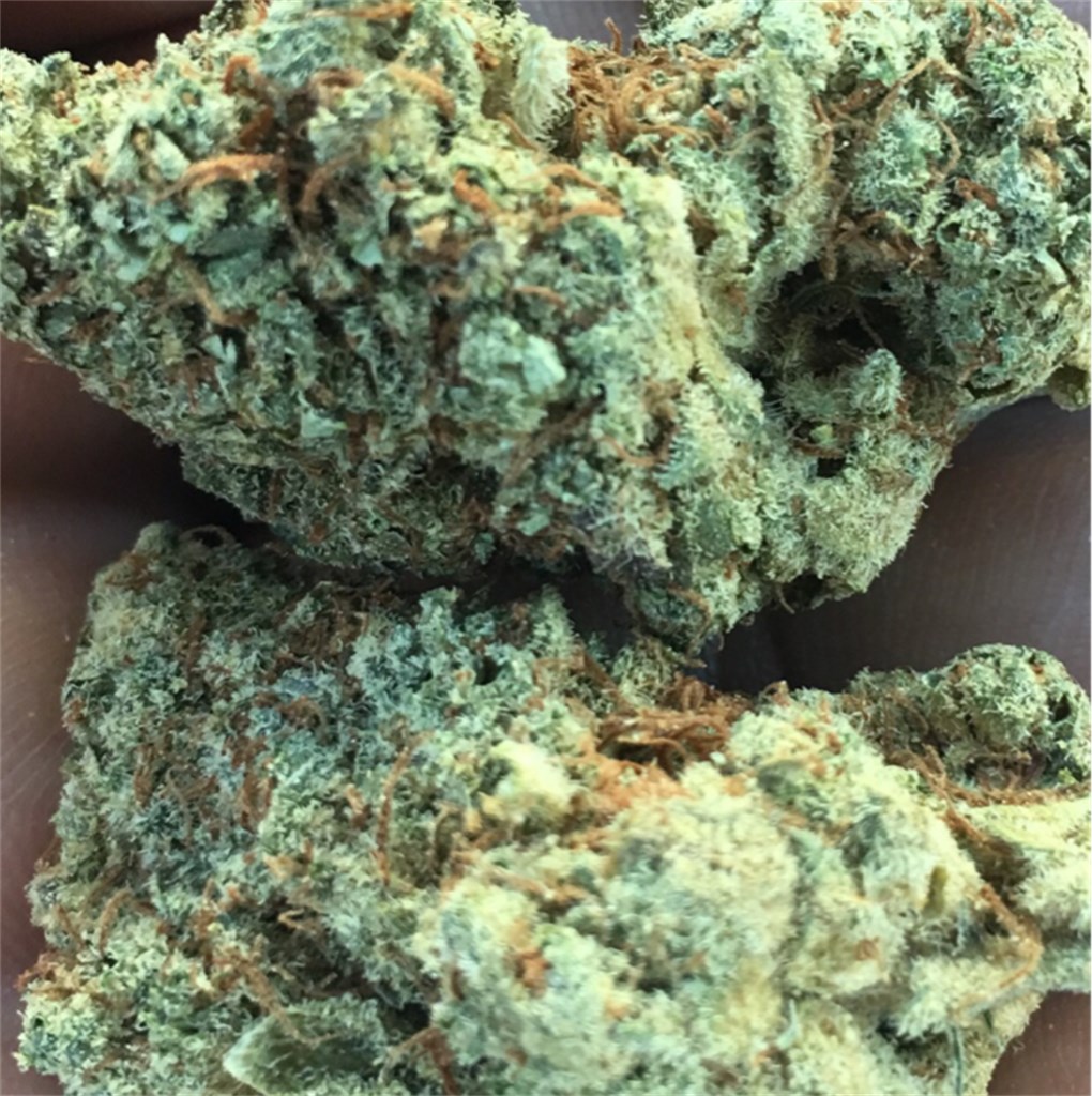 Foto de la variedad Master OG