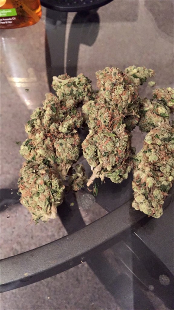 Master Skunk